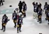 Bären-Finale in Berlin: Deutscher Meister sind nur die Eisbären!