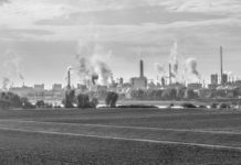 Streit um AfD-Kandidaten – Ludwigshafen und kein Ende…