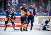 Bären gewinnen, Bären verlieren oder Grizzlys mit Sieg, Eisbären mit Niederlage
