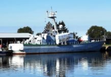 Wegbereiter der „Einheit“ – Die verratene Armee