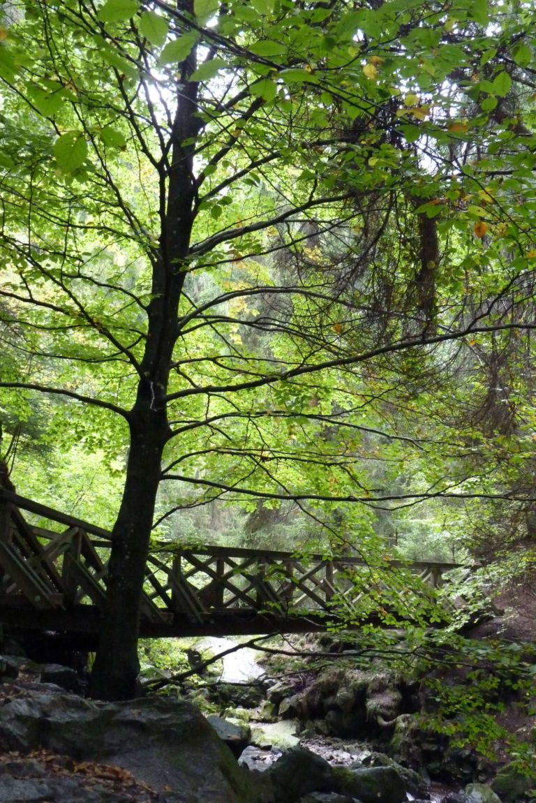 Bizarre Märchenlandschaft der Ravenna-Schlucht – Serie: Der Hochschwarzwald (Teil 4/9)