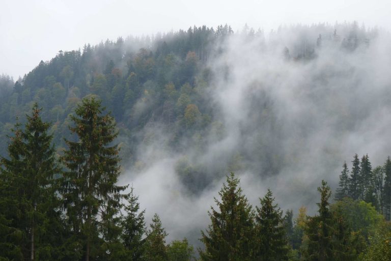 Schöne Bescherung in der Ravennaschlucht