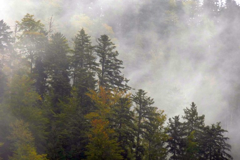 Durch das Höllental – Serie: Der Hochschwarzwald (Teil 1/9)