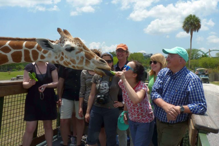Traumlandschaften und Fantasieräume – Serie: Themenparks in Florida (Teil 2/8)