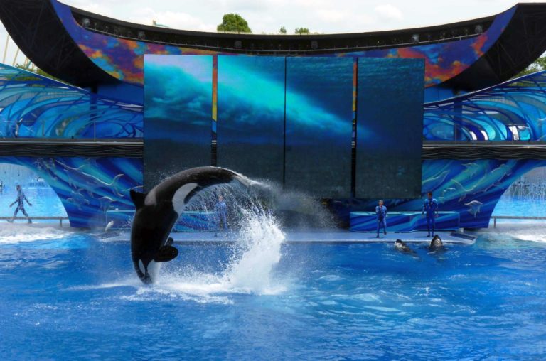 Reisehinweise – Serie: Themenparks in Florida (Teil 8/8)