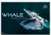 Der große Wandkalender „Whale Watching 2022“ mit der kleinen Spende für die Sea Shepherd Conservation Society