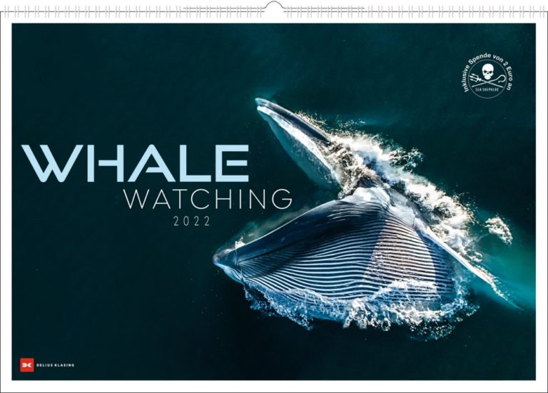 Der große Wandkalender „Whale Watching 2022“ mit der kleinen Spende für die Sea Shepherd Conservation Society