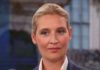 Ein Plagiat ist ein Plagiat – Alice Weidel (AfD) behält ihren Doktortitel