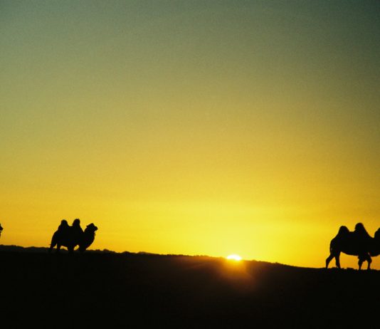 Reisehinweise – Serie: Abenteuer Mongolei – Mit Nomaden durch die Wüste Gobi (Teil 7/7)