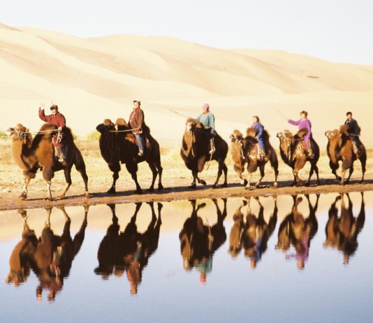 Kostprobe der Naturgewalten – Serie: Abenteuer Mongolei – Mit Nomaden durch die Wüste Gobi (Teil 5/7)