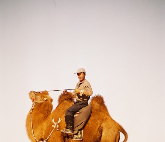 Fotoreportage: Mit Nomaden durch die Wüste Gobi