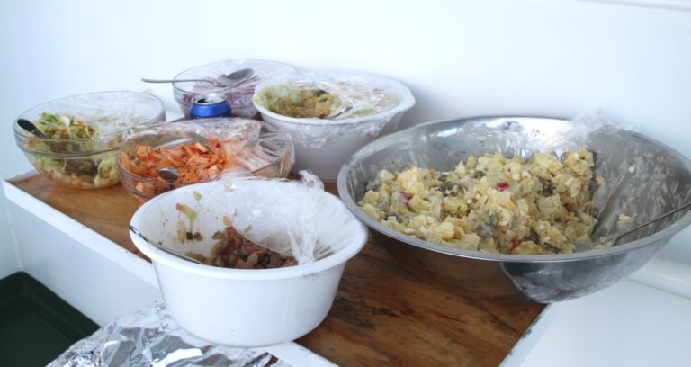 Eine Reise mit MS Santa Rosa – Logbuch: Kurs Südamerika 2012