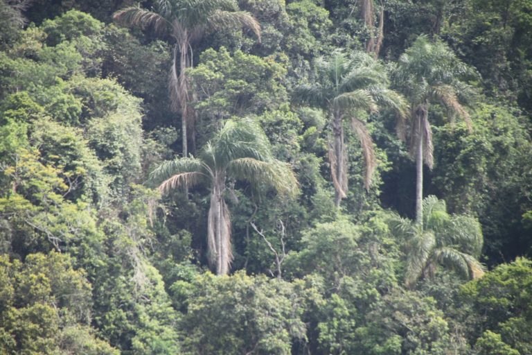 Eine Reise mit MS Santa Rosa – Logbuch: Kurs Südamerika 2012