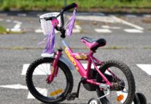 Bei Eigentümern von Lieferdiensten ist die Profitabilität so niedrig wie die Liquidität, aber die Abhängigkeit von Kapitalisten hoch