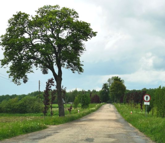 „Lonely Planet“ scheint wie gemacht für Spinner und Trottel oder „The best oft the best of the best“ von Werbenutten und Trendhuren