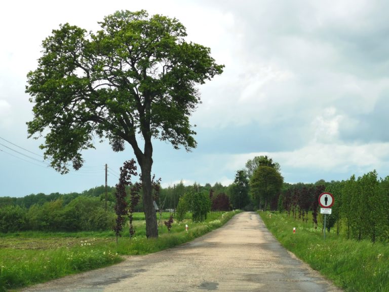 „Lonely Planet“ scheint wie gemacht für Spinner und Trottel oder „The best oft the best of the best“ von Werbenutten und Trendhuren