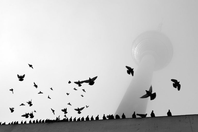 Konferenz zur Einigung des Widerstandes gegen den US/NATO-Krieg in der Ukraine