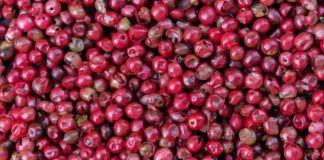 Da muss noch roter Pfeffer ran – Die Junge Deutsche Philharmonie versucht sich an Brecht und landet in der Klamotte