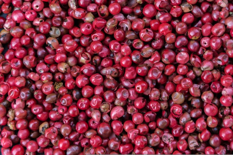 Da muss noch roter Pfeffer ran – Die Junge Deutsche Philharmonie versucht sich an Brecht und landet in der Klamotte