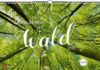 Wald für die Wand oder Der Wald- und Wandkalender „Sehnsuchtsort Wald 2023“