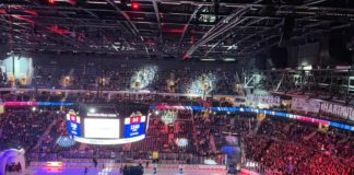 Eisbären bändigen Löwen in der Billigkette-Liga der BRD