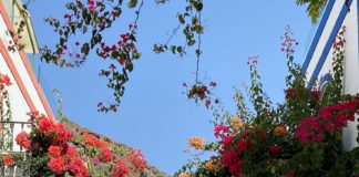 Geboren aus dem Meer – Schwarze Lava, lange weiße Sandstrände, riesige Dünen und wilde Schluchten prägen Gran Canaria