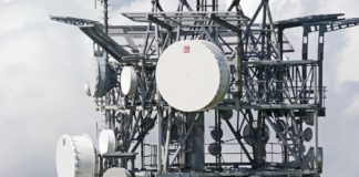 „Tumorbildungen bei … bestrahlten Ratten“ oder Strahlentod – Ausrufezeichen