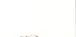 Lies noch einmal: „Ami go home“ von Wilhelm Langthaler und Werner Pirker