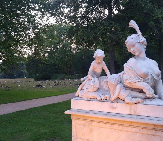 Hornochsen und Mäh-Schafe im Park Sanssouci
