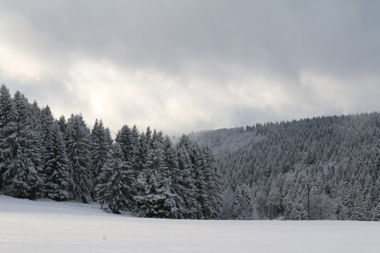 Mehrheit der Wahlberechtigten im Bundes- und Freistaat Thüringen für Atlantiker und Antideutsche, Umvolker und Bellizisten