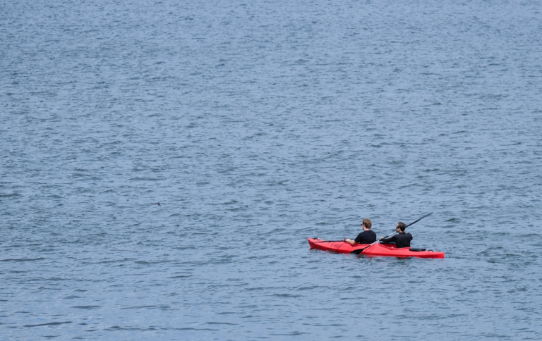 Halunken der Hauptabflußmedien oder „Der Wannsee-Scoop ist nun auch ganz offiziell implodiert“