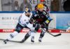 Eishockey in der BRD: Die Fischtown Pinguins Bremerhaven SB GmbH steht im Finale