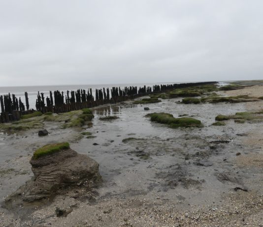 Ein Meer zum Durchwaten – Besuch des Nationalparks Wattenmeer in den niederländischen Provinzen Fryslân und Groningen