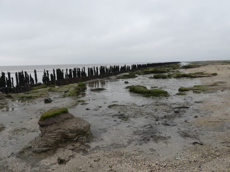Ein Meer zum Durchwaten – Besuch des Nationalparks Wattenmeer in den niederländischen Provinzen Fryslân und Groningen