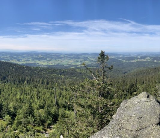 Waidlerland, de mog i – Wandern und Aktivurlaub abseits von den großen Touristenströmen im südlichen Bayerischen Wald