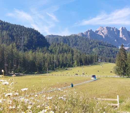Vom Chalet direkt auf die Piste – Urlaub mit der ganzen Familie in den luxuriösen Ferienanlagen von Almdorfbau in Tirol