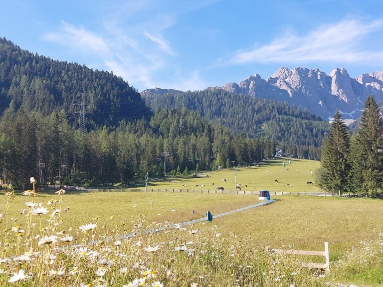 Vom Chalet direkt auf die Piste – Urlaub mit der ganzen Familie in den luxuriösen Ferienanlagen von Almdorfbau in Tirol