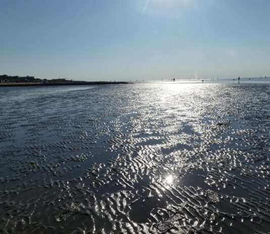 Serviert an der Nordseeküste – In und um Cuxhaven kommen Feinschmecker auf ihre Kosten