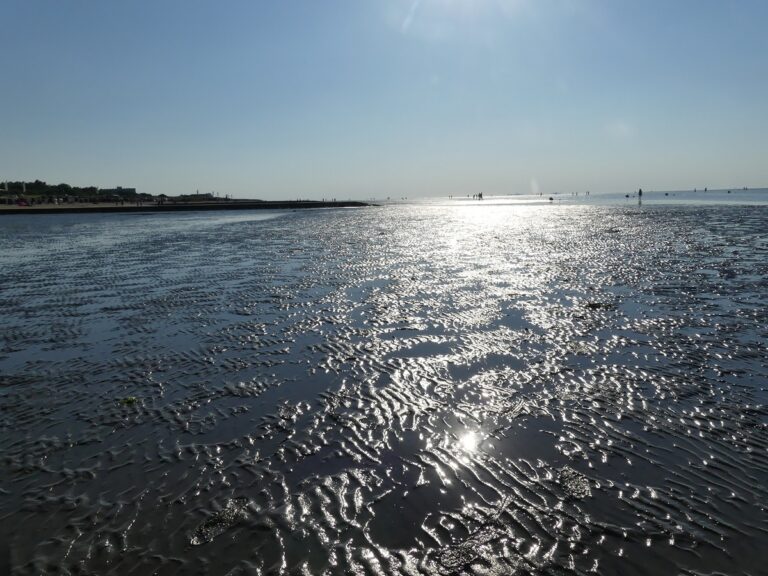 Serviert an der Nordseeküste – In und um Cuxhaven kommen Feinschmecker auf ihre Kosten