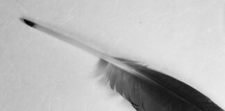 Freitag, frei für des Tags Vermögen