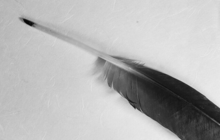 Analog am Scheideweg