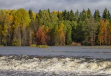 Atomwaffen in Finnland