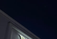 Der Film The Apprentice – The Trump Story von Ali Abbasi