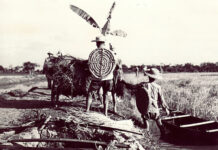 Am Vorabend des Sieges – Zur Lage in dem von den USA geführten Krieg gegen Vietnam im Frühjahr 1975