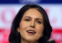 Gefahr für die CIA: Erste Anhörung von Tulsi Gabbard im US-Kongress