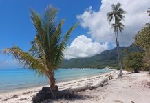 Trauminsel im Südpazifik – Moorea in Französisch-Polynesien präsentiert sich als Urlauber-Paradies