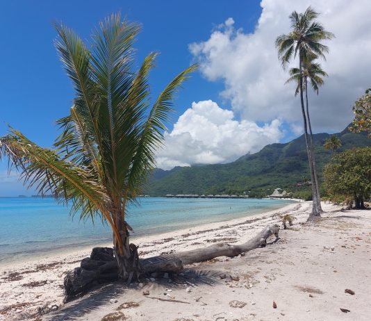 Trauminsel im Südpazifik – Moorea in Französisch-Polynesien präsentiert sich als Urlauber-Paradies