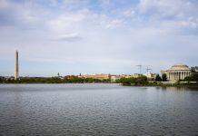 Polemik: Propaganda am Potomac und die Frage: Ist Elmar Theveßen dumm oder böse oder eine miese Mischung aus beidem?