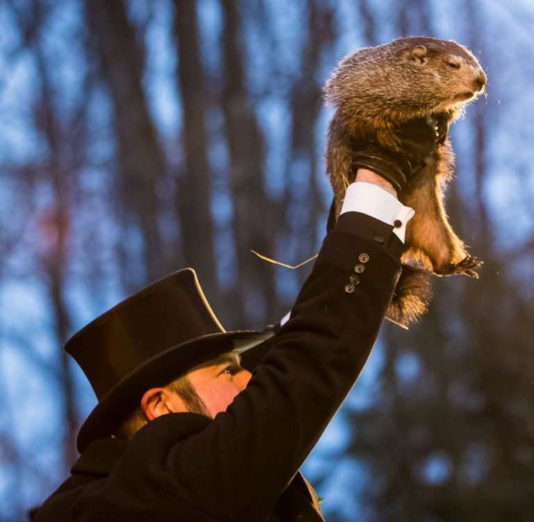 Punxsutawney Phil sagt sechs weitere Winterwochen voraus