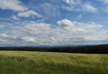 Wer auf einem hohen Roß sitzt, der kann tief fallen, sollte aber absteigen, wenn das Pferd, das er reitet, tot ist – Der tiefe Fall der Technisat im Vogtland